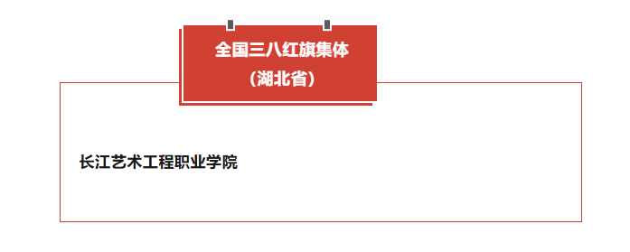 湖北教育系统的她们获全国表彰